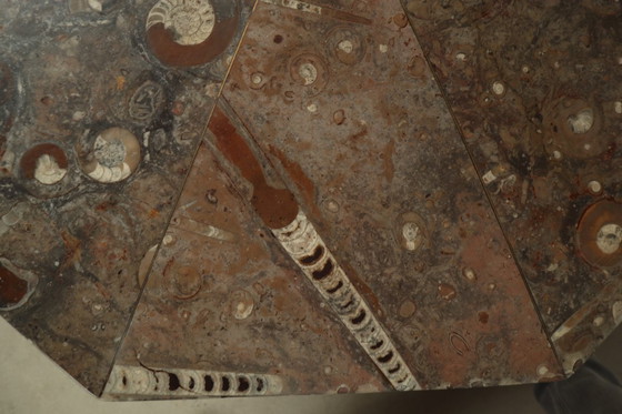 Image 1 of Fossil Stone Pedestal Coffee Table, France, 1970's