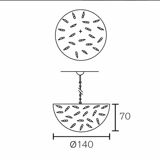Brand van Egmond delphinium 140 cm
