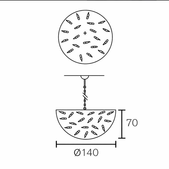 Image 1 of Brand van Egmond delphinium 140 cm