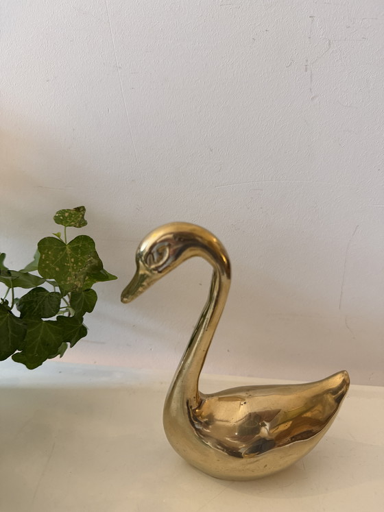Image 1 of Cigno di ottone