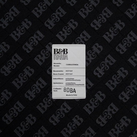 Image 1 of Camaleonda Element B&B Italia