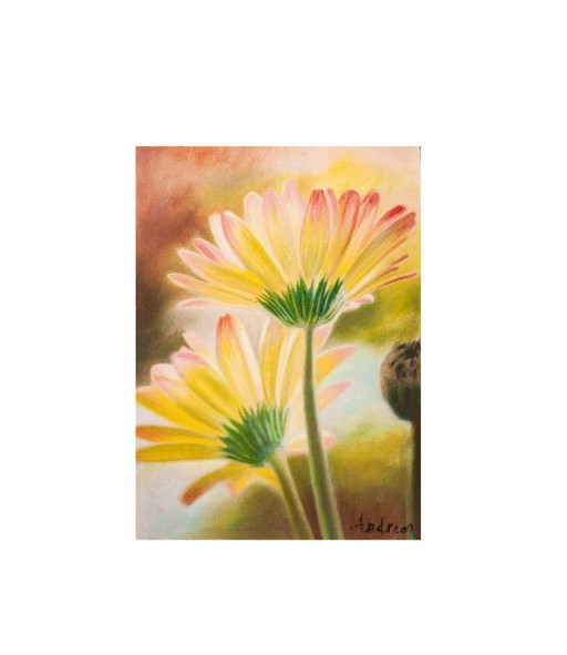 Pastel daisies. Daisy painting. Flower drawing. Pastel flowers. Painted flowers. New.