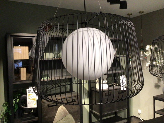 Image 1 of Hängelampen-Verbündeter