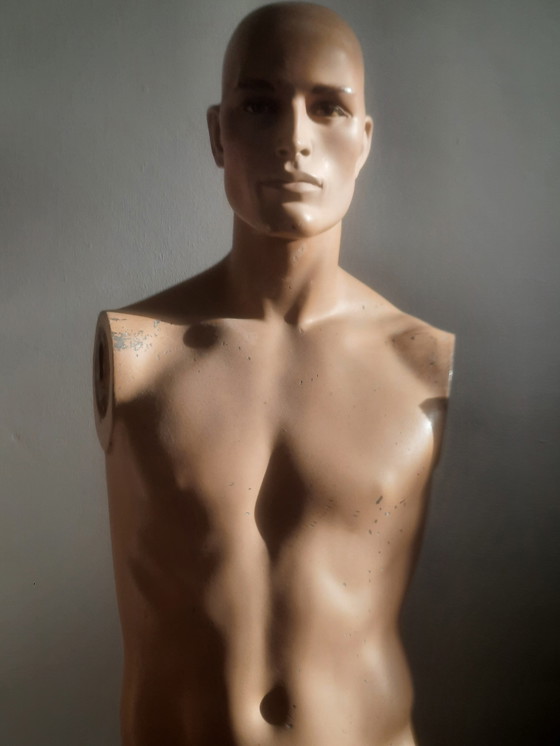 Image 1 of Torso di manichino maschile