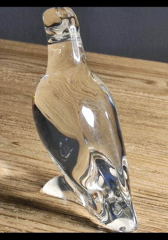 Image 1 of Perruche Baccarat