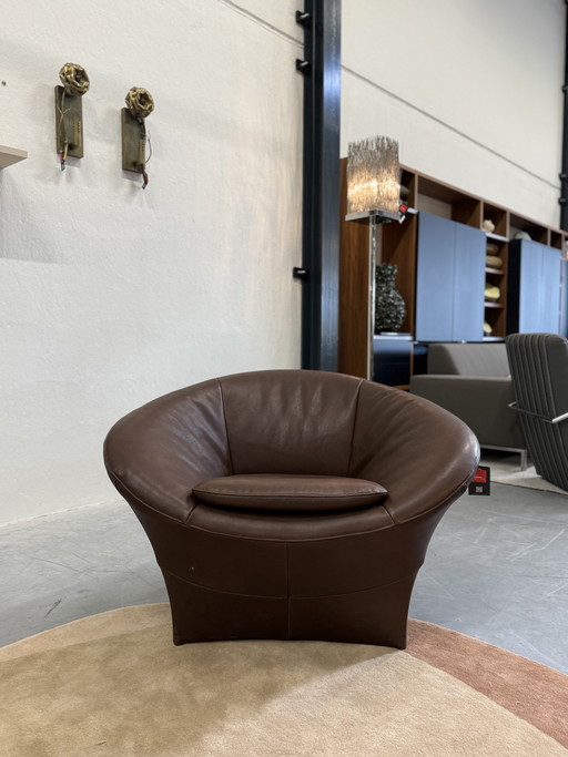 Label van den Berg Ace Lounge Cuir marron