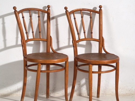 Antique set of 2 bentwood chairs – Central Europe, circa 1900 – Dining chairs, Metal (photo 2 of 40)