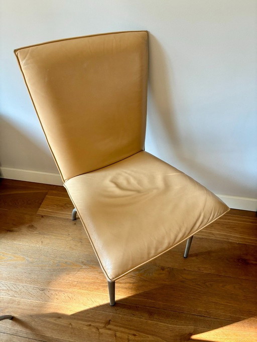 sedie da pranzo Rolf Benz