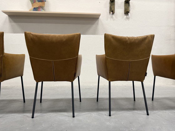 Image 1 of Sedia da pranzo Mali Vandenberg 5 Label Bovino Natural