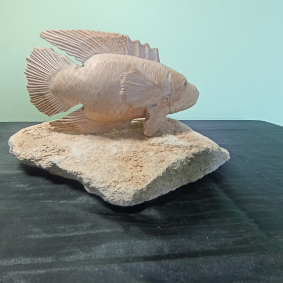 Bellissimo Oggetto Pesce in Legno su Piedistallo in Pietra – Firmato (21 x 15 cm) – Sculture, Stone, Wood (photo 4 of 6)