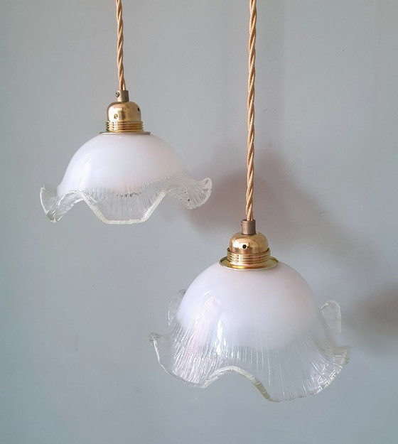 Set di 2 lampade a sospensione vintage in vetro bianco satinato, forma floreale, texture – Metal (photo 5 of 23)