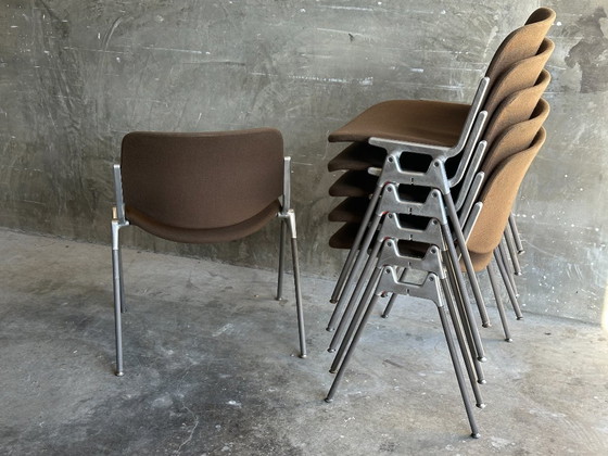 Image 1 of 6 sillas Castelli DSC 106, Giancarlo Piretti - marrón/verde