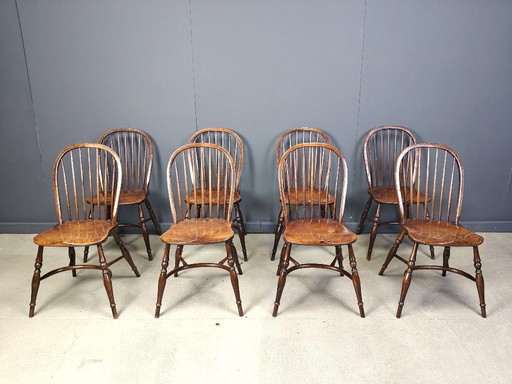Set aus 8 Vintage-Esszimmerstühlen von Ercol, 1950er