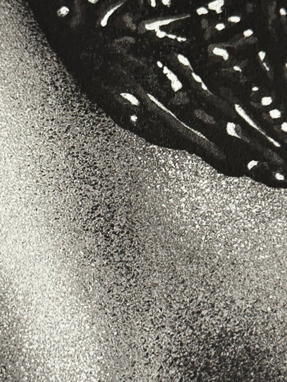 Image 1 of FIN DAC – Haiconca (Rosa) - Edizione /40 – Firmato a mano e numerato - COA