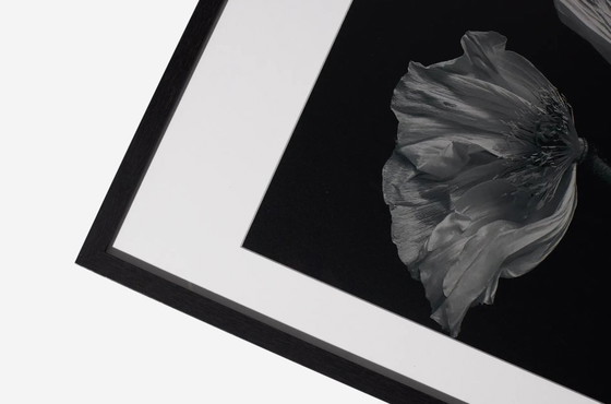 Image 1 of Boconcept - Fauna 2 Art Gallery