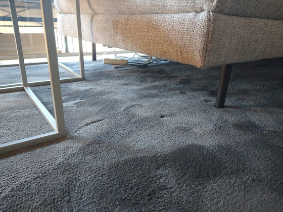 Image 1 of Braun Carpets Soft rug - 240x305