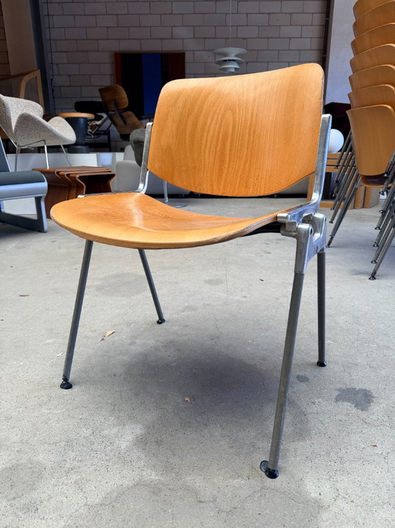Castelli DSC106 chair, Giancarlo Piretti (stock: 8) – Dining chairs, Wood, Aluminium (photo 7 of 10)