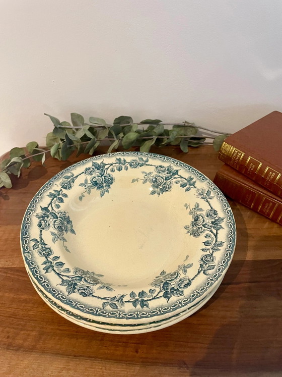 Ironstone Plates, late 19th century, Boulenger Choisy-le-Roi – Crockery (photo 2 of 6)