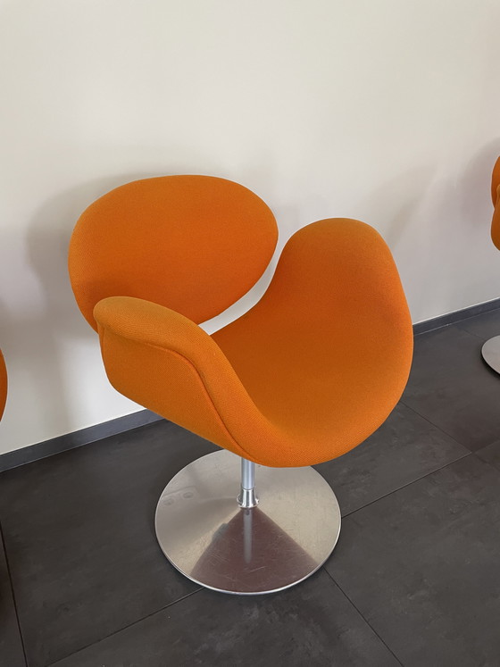 Image 1 of 4 x Tulip Artifort.