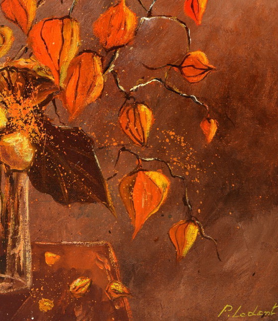 Image 1 of Physialis