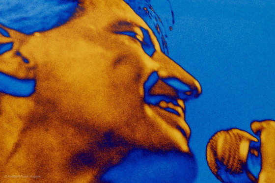 Image 1 of Herman Brood - Romance sauvage - Pays-Bas 1981