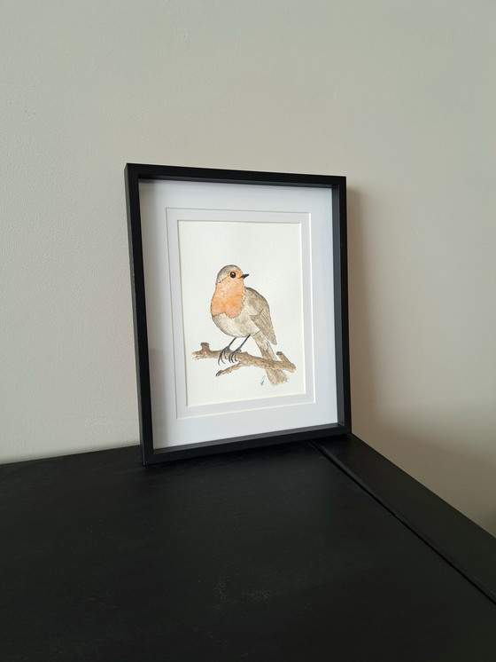Image 1 of Watercolor painting of a robin | Blacklist