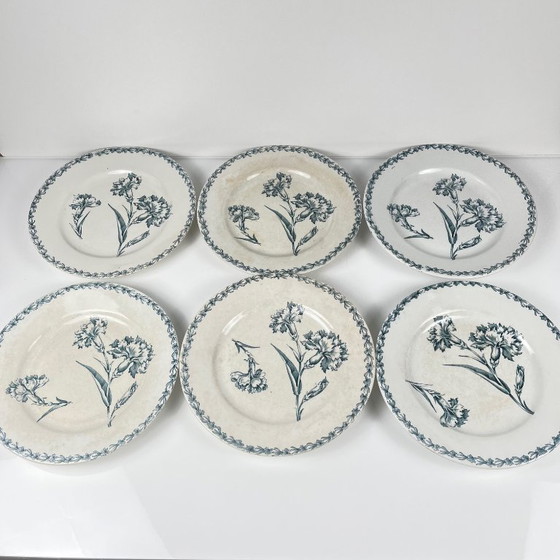 Image 1 of Set of 6 dessert plates, "Carnation" pattern, KG Lunéville, ironstone, 19th century