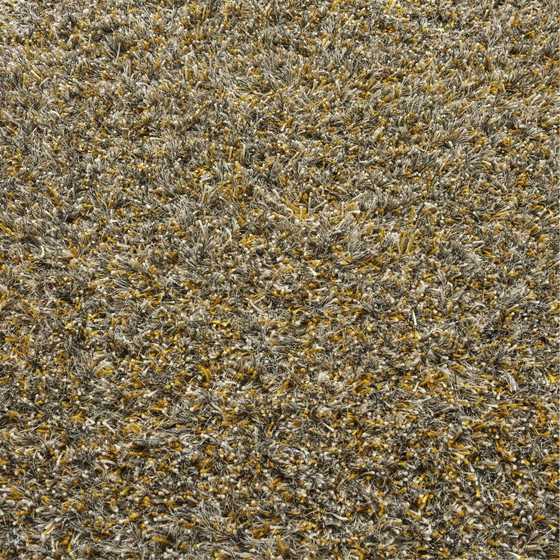 Image 1 of Montel Barocci Teppich - 170x230