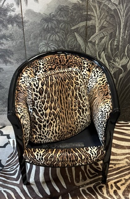 Image 1 of 2 fauteuils Tiger Club