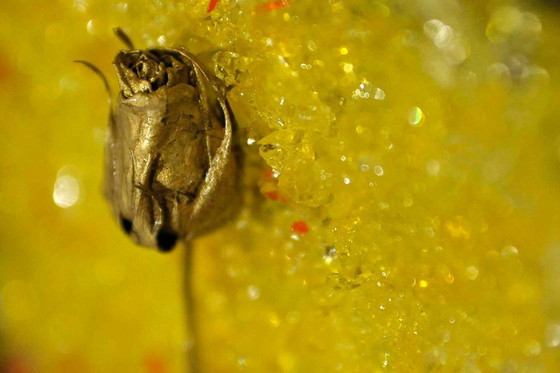 Image 1 of Materialarbeit, signiert von Vincenzo Marega 1