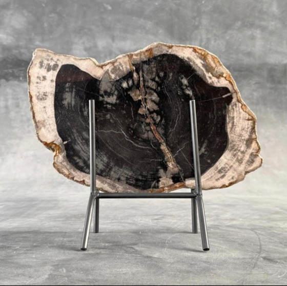 Image 1 of Bois fossilisé – Plaque en bois pétrifié avec un support sur mesure.