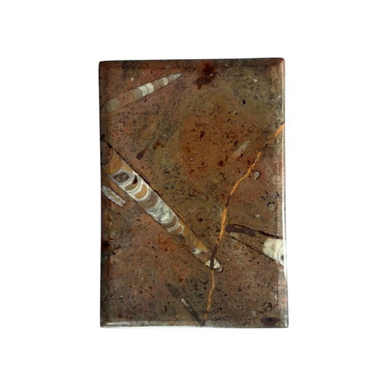 Image 1 of Scatola portagioie o scatola di fossili unica nel suo genere il segreto del marmo Orthoceras - Naturally Chic