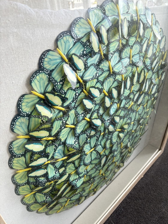 Image 1 of 3D Art Object 'Butterfly'