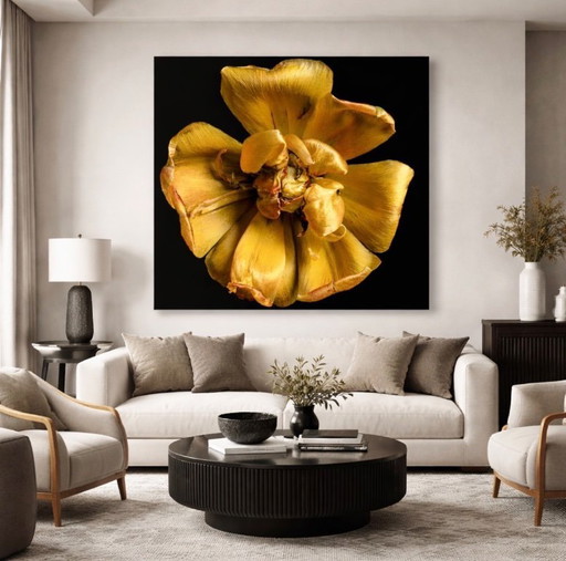 Fleur dorée sur fond noir, impression d'art sur aluminium