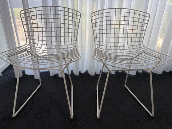 Knoll Harry Bertoia – Side chairs, Metal (photo 4 of 5)