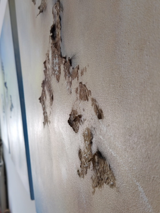 Image 1 of Serie de 4 cuadros de la artista Andrea Cook