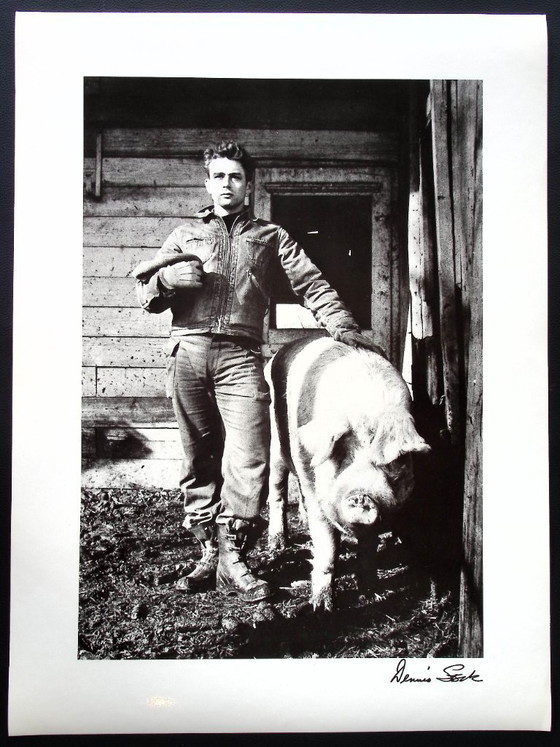 Image 1 of Portefeuille de James Dean par Dennis Stock