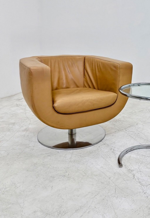 Poltrona Tulip di B&B Italia