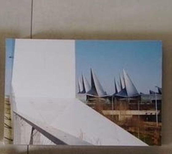 Image 1 of Photos of the Butterfly Palace Antwerp