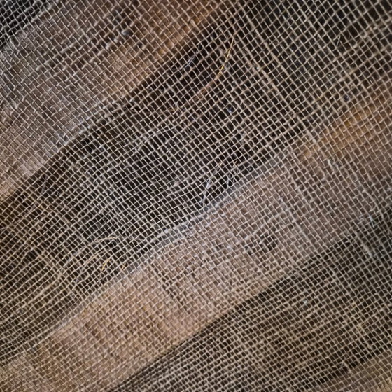 Image 1 of Pair of Vintage 1950s Armchairs with Compass Legs, Beech & Yellow Vinyl, 50s Rockabilly Style