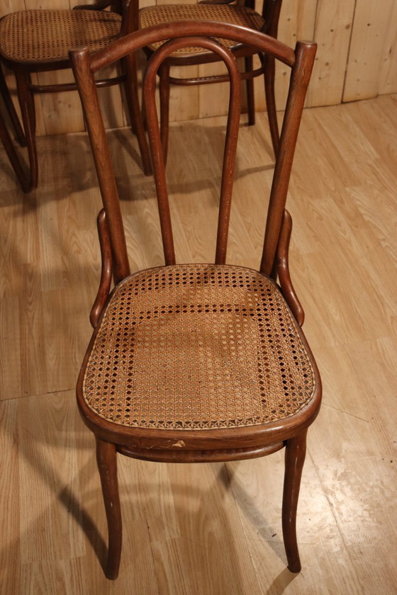 Image 1 of Series x8 bistro chairs no. 56 by Thonet 1904
