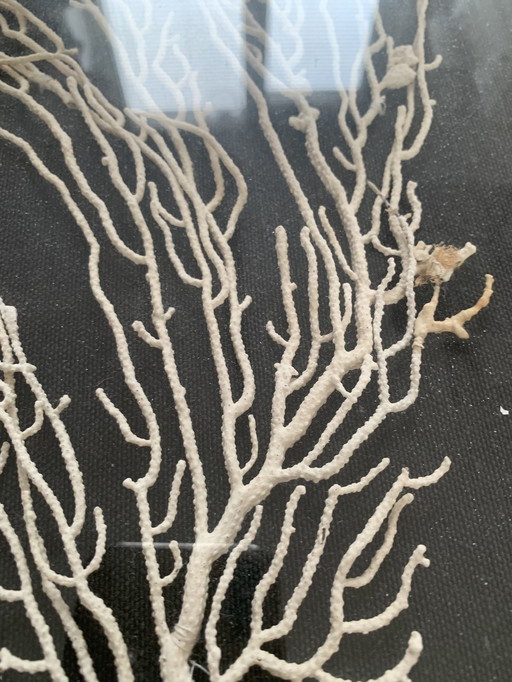 Vintage decorative frames gilded (pre-1975)