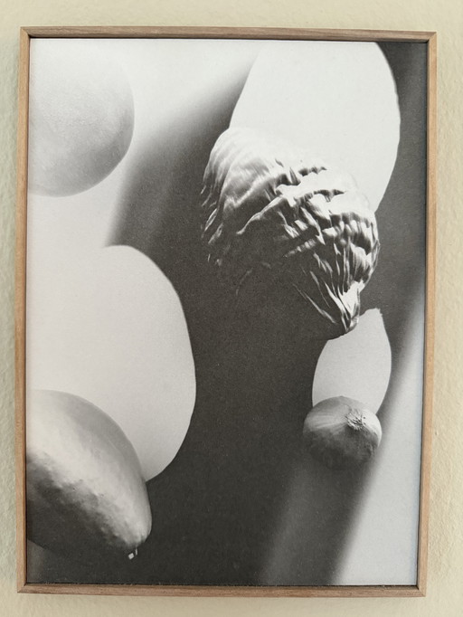 Foam First Editions | Laure Sée