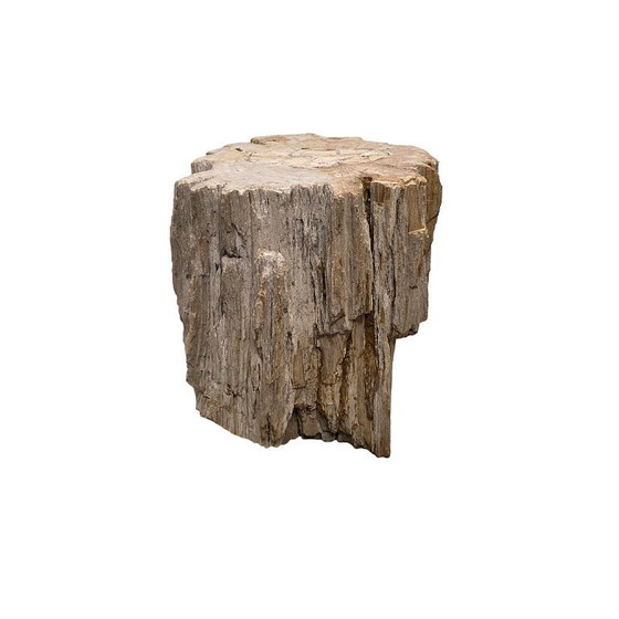 Image 1 of Madera petrificada como mesa auxiliar, de más de 50 millones de años.