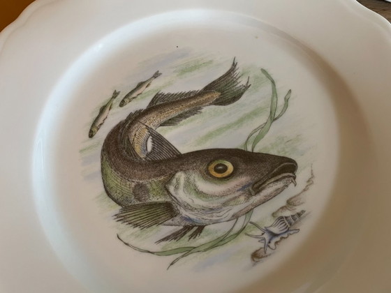 Image 1 of Piatti e ciotola in porcellana di Limoges con pesce francese