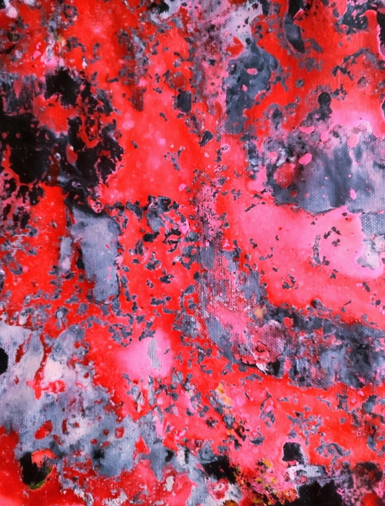 Image 1 of Walter Geraci - Pink Abstractions (Free Shipping)