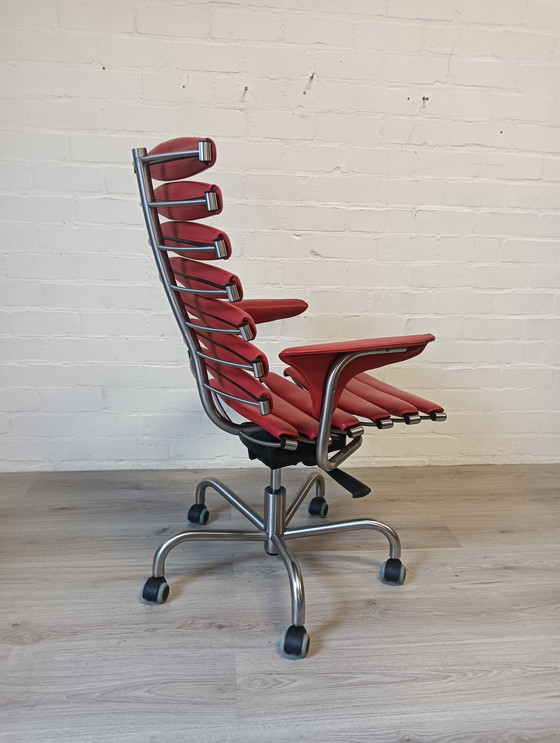 Image 1 of De Sede DS-2100 Skeleton