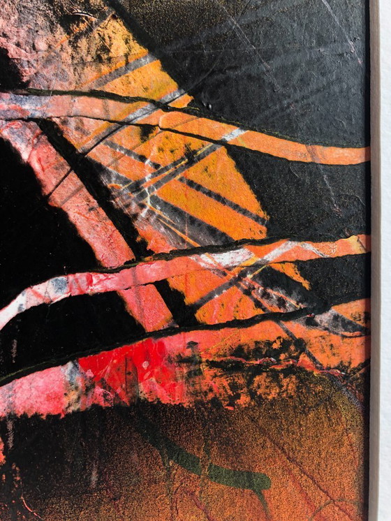 Image 1 of Rob Jacobs - underwater world 1