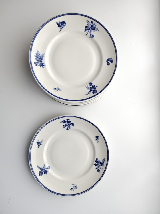Petrous Regout 1980-1920 Riva dinner plates 21 cm, Petrus Regout, Crockery, Porcelain, Blue (photo 3 of 5)