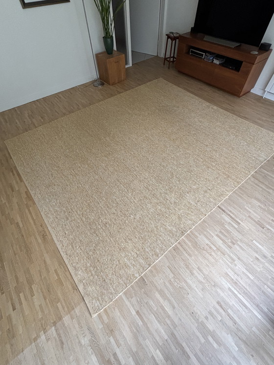 Image 1 of Brinker rug 100% wool (250 x 300 cm)